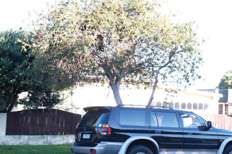 Photo of property in 3 Mckinstry Avenue, Mangere East, Auckland, 2024