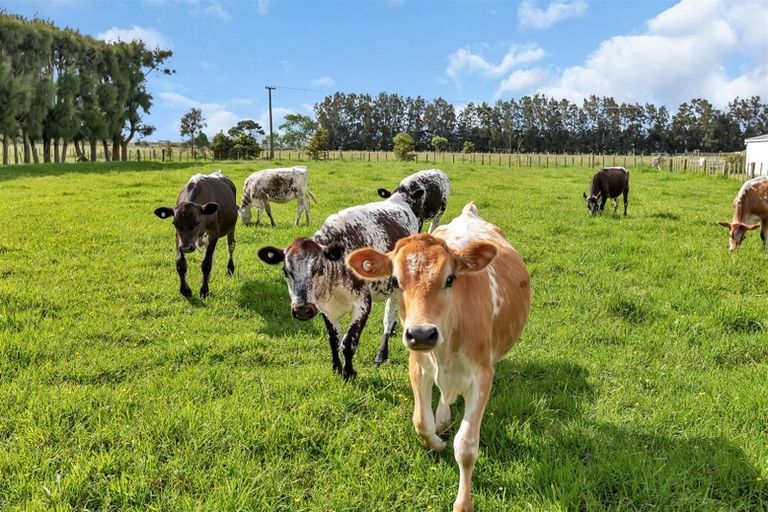 Photo of property in 44 Rosythe Road, Waipu, 0582