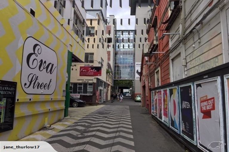 Photo of property in Robert Hannah Centre, 33/5 Eva Street, Te Aro, Wellington, 6011