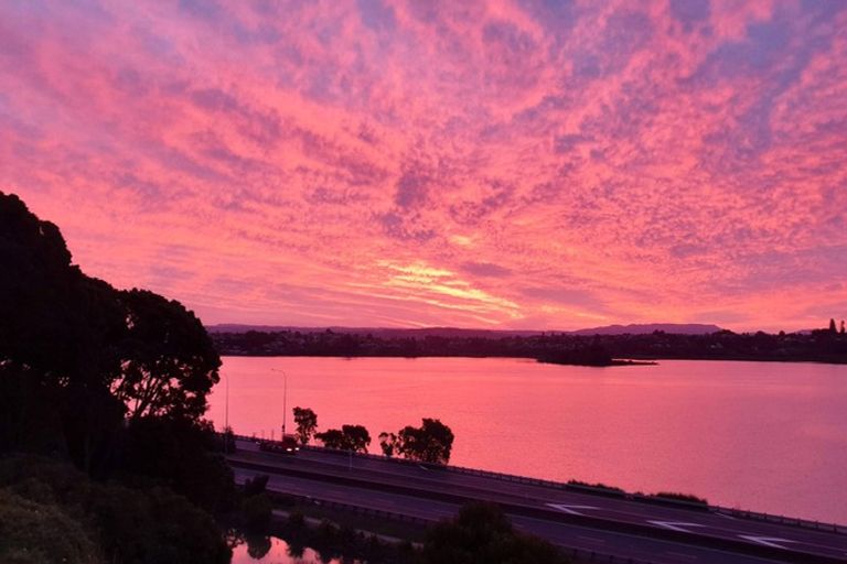 Photo of property in 146a Spring Street, Tauranga, 3110