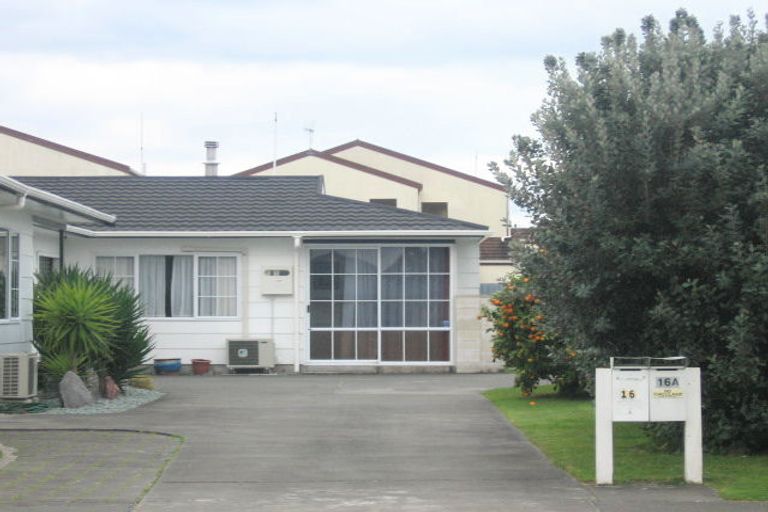 Photo of property in 16 Lannie Place, Greenmeadows, Napier, 4112