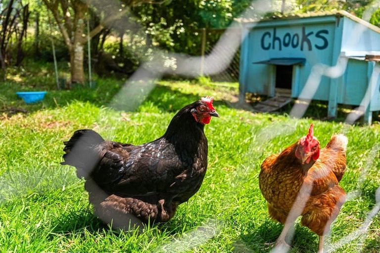 Photo of property in 1049 Pipiwai Road, Ruatangata West, Whangarei, 0176