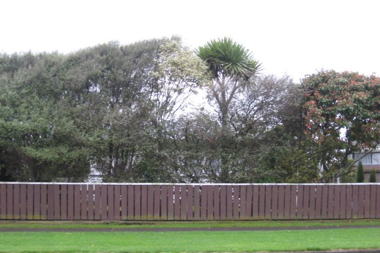 Photo of property in 88 Queen Street West, Levin, 5510