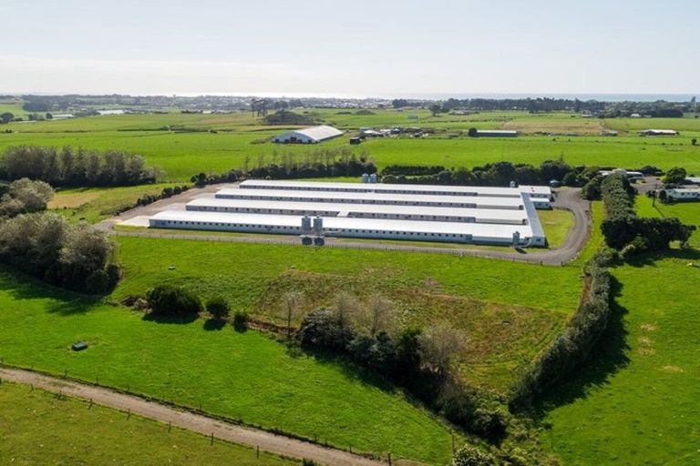 Photo of property in 116 Ngatimaru Road, Tikorangi, Waitara, 4383