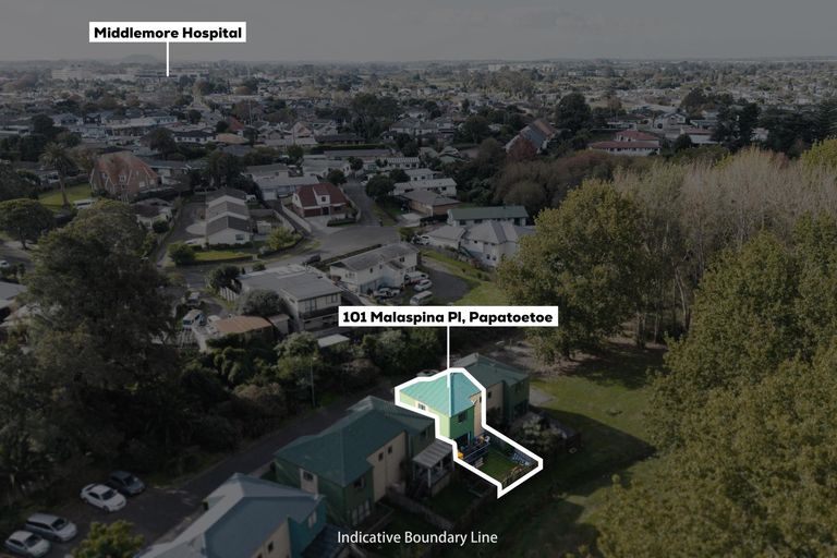Photo of property in 101 Malaspina Place, Papatoetoe, Auckland, 2025