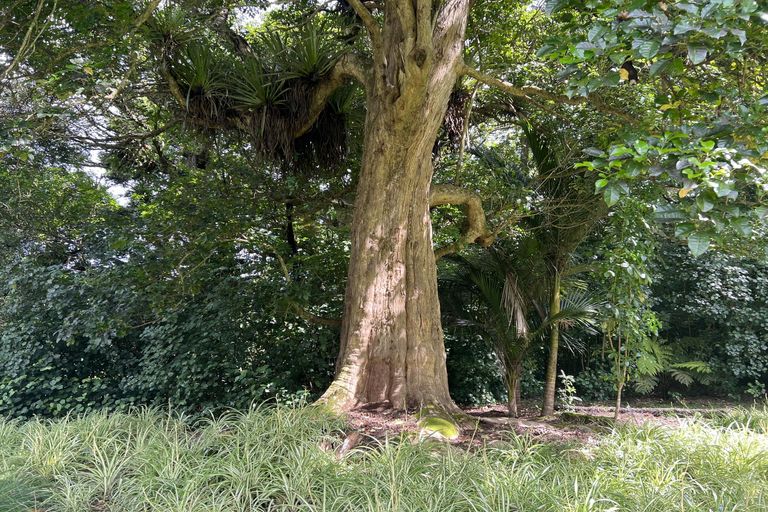 Photo of property in 62 Showground Road, Ohaeawai, Kaikohe, 0472