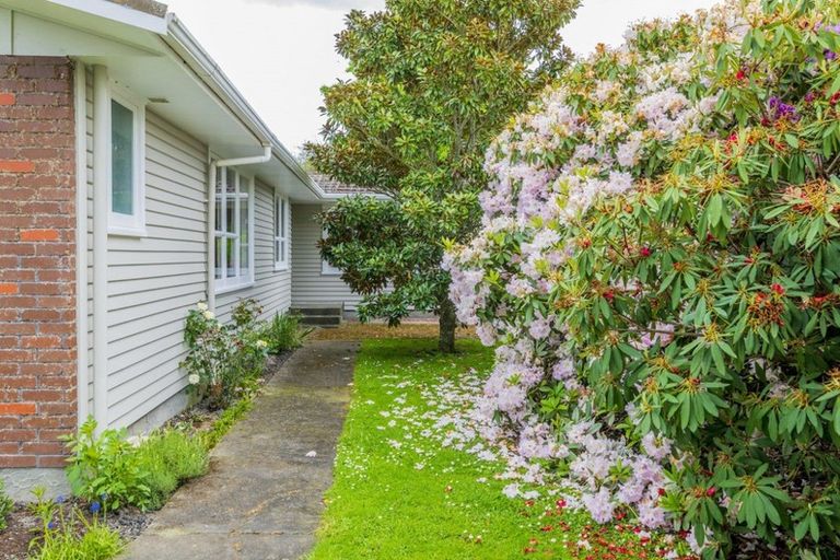 Photo of property in 175 Tiro Tiro Road, Levin, 5510
