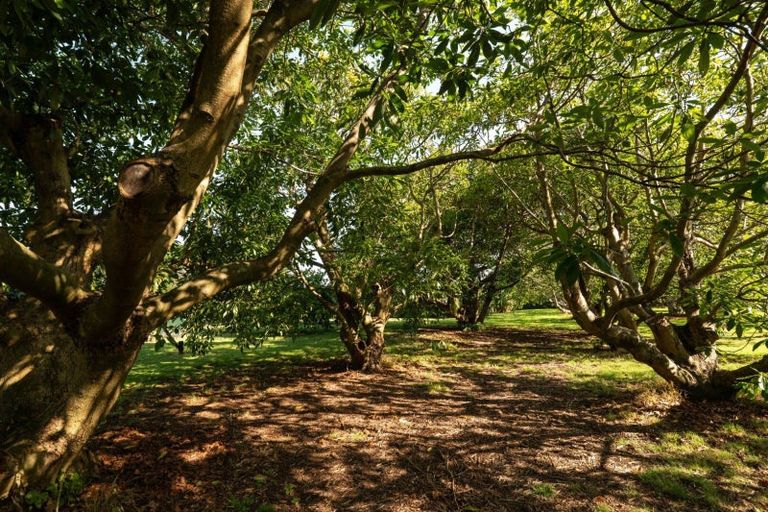 Photo of property in 10a Bridgman Lane, Tanners Point, Katikati, 3177