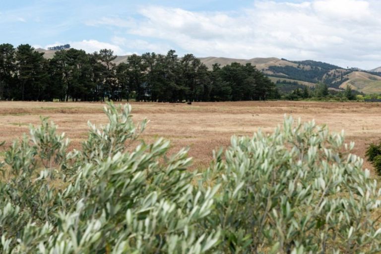 Photo of property in 19 Catalina Crescent, Forrest Hill, Auckland, 0620