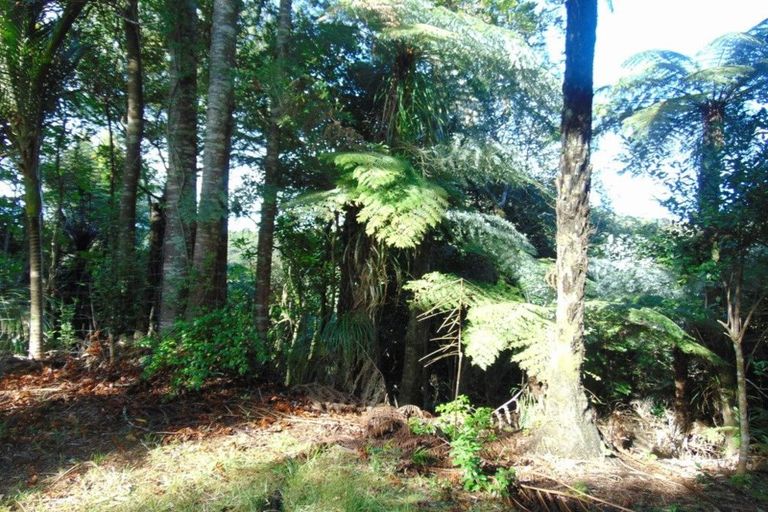 Photo of property in 118 Opanuku Road, Henderson Valley, Auckland, 0612