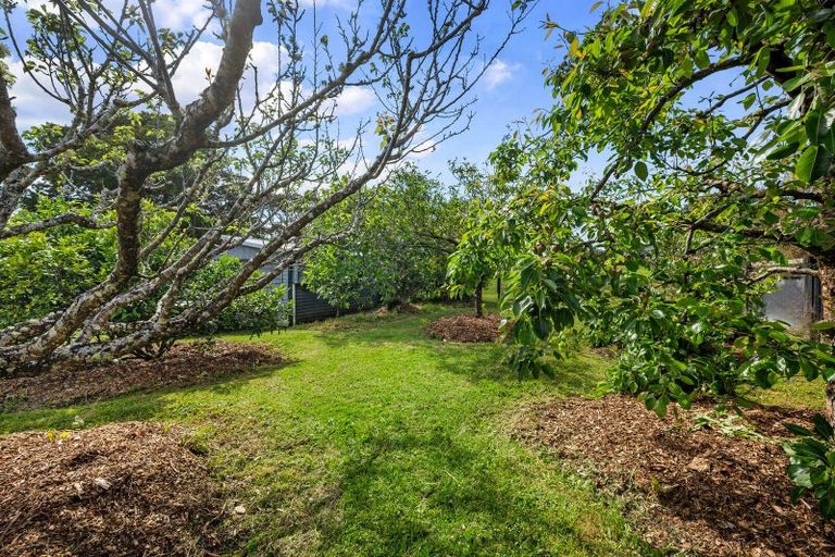 Photo of property in 25 Felgrove Street, Glendene, Auckland, 0602