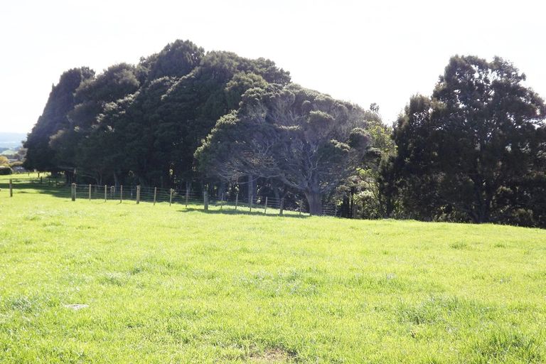 Photo of property in 669b Te Hutewai Road, Raglan, 3296