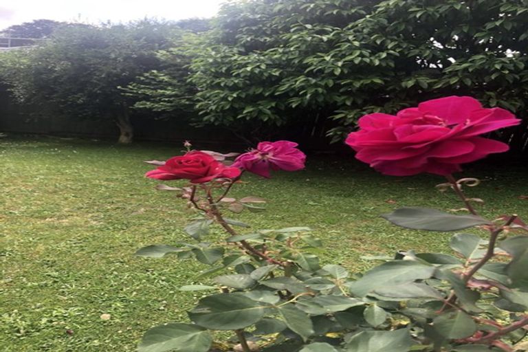 Photo of property in 317 River Road, Claudelands, Hamilton, 3214