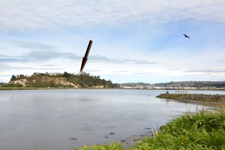 Photo of property in 8 Rewa Street, Musselburgh, Dunedin, 9013