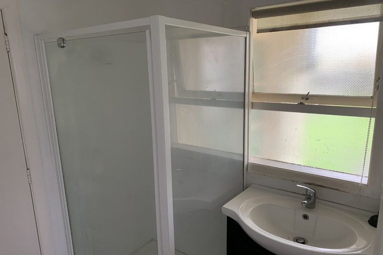 Photo of property in 20 Cassidy Street, Hamilton East, Hamilton, 3216