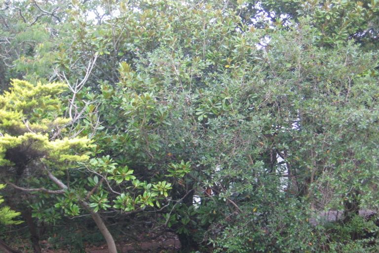 Photo of property in 490 West Coast Road, Glen Eden, Auckland, 0602