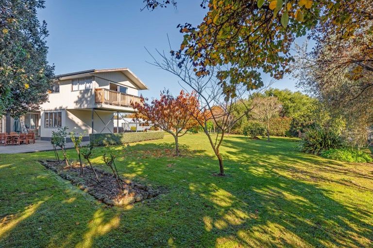 Photo of property in 62 Venice Street, Martinborough, 5711
