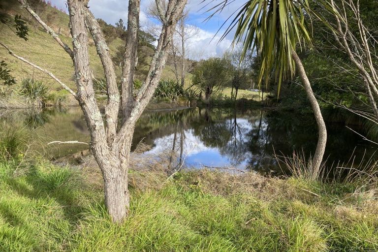 Photo of property in 287 Wentworth Valley Road, Whangamata, 3691