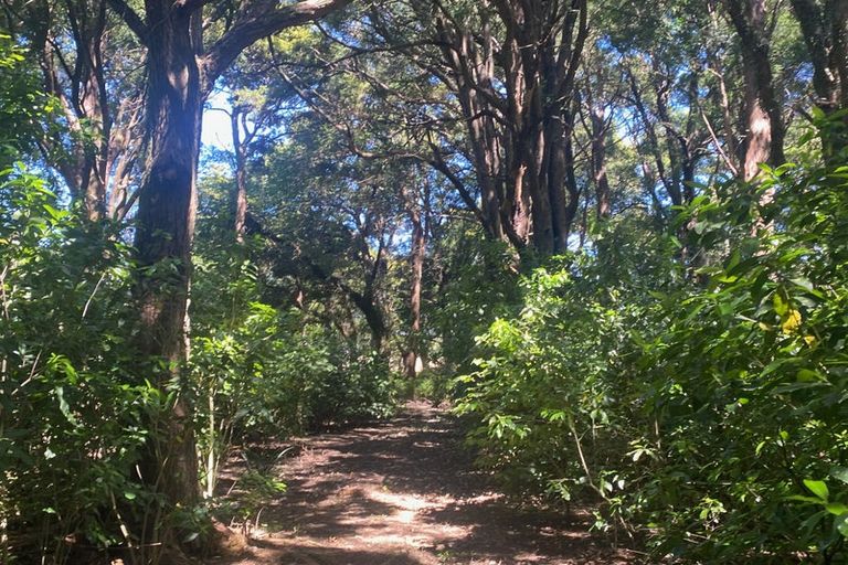 Photo of property in 194 Underhill Road, Woodside, Greytown, 5794