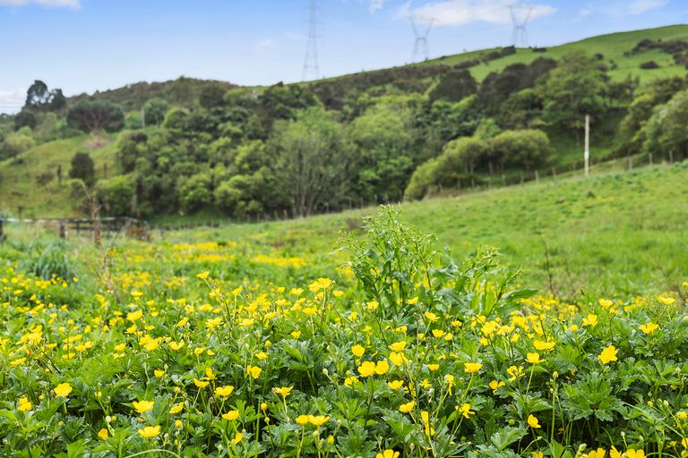 Photo of property in 95 Norwegian Road, Cambridge, 3495