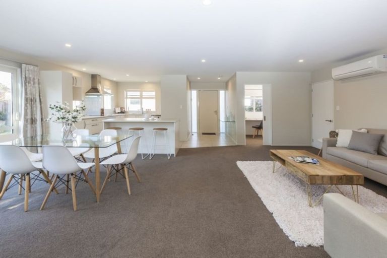 Photo of property in 44 Condell Avenue, Papanui, Christchurch, 8053