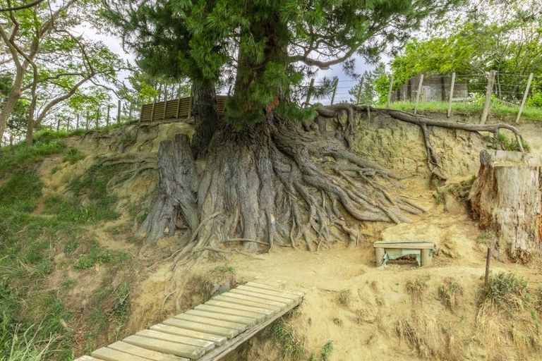 Photo of property in 10 Tukituki Road, Ashley Clinton, Takapau, 4286