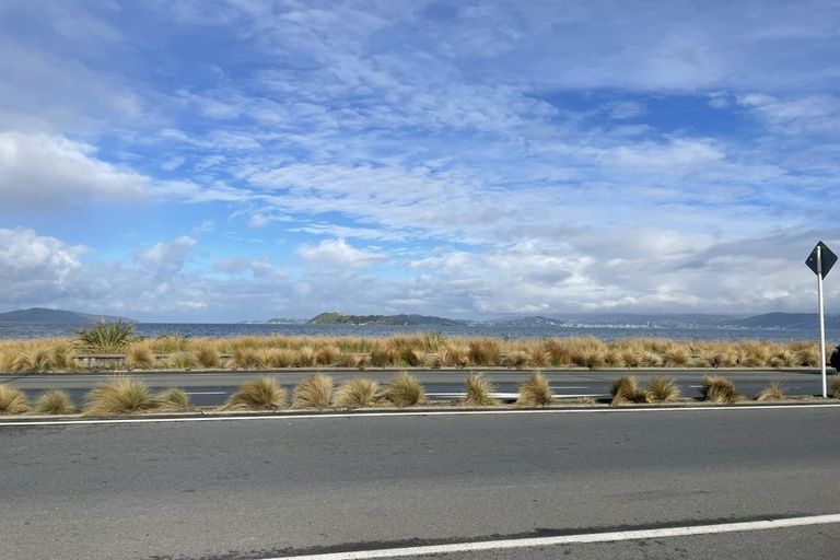 Photo of property in 219 The Esplanade, Petone, Lower Hutt, 5012