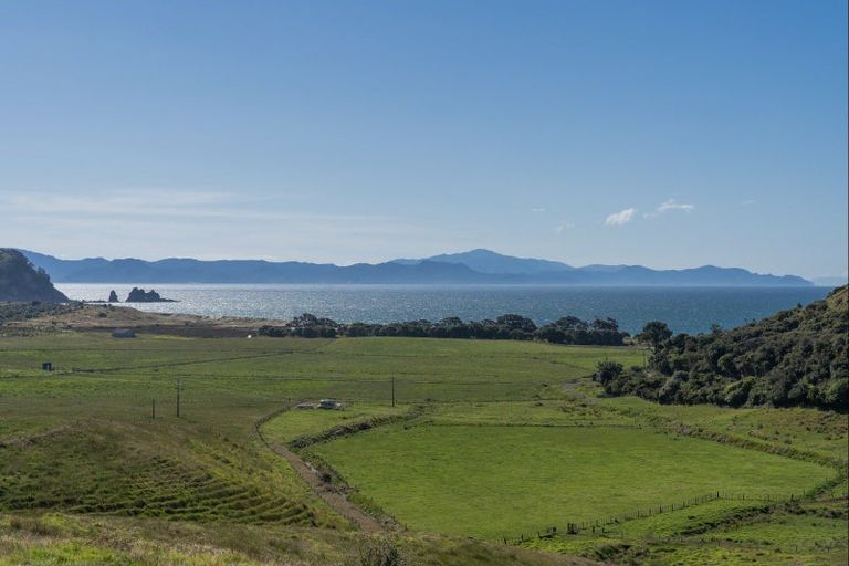 Photo of property in 550 Black Jack Road, Opito Bay, Whitianga, 3592