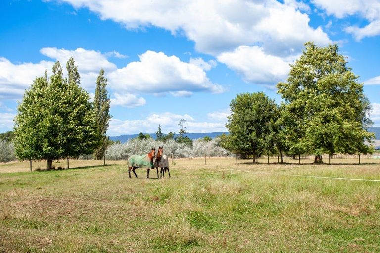 Photo of property in 191 Taihoa Road South, Matamata, 3473