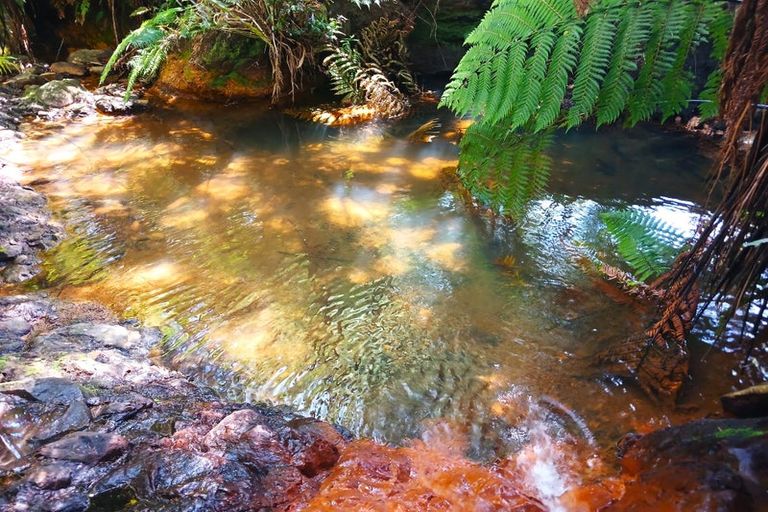 Photo of property in 9/11 Ocean View Road, Cable Bay, 0420