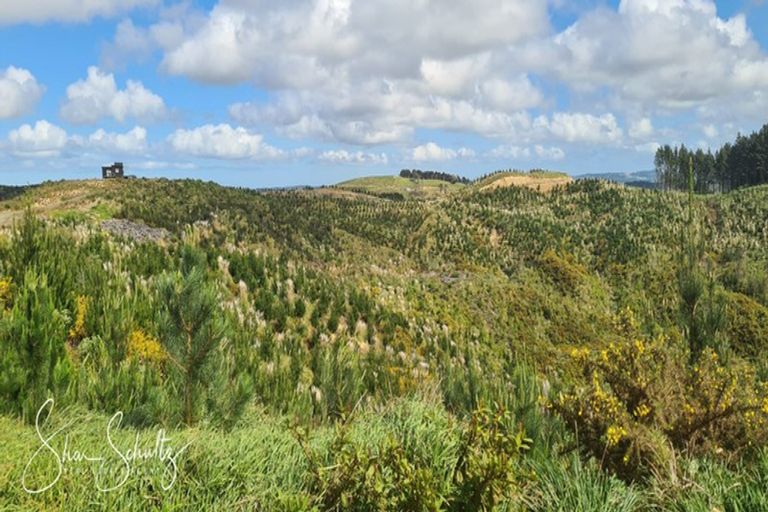 Photo of property in 872 Bickerstaffe Road, Maungaturoto, 0587