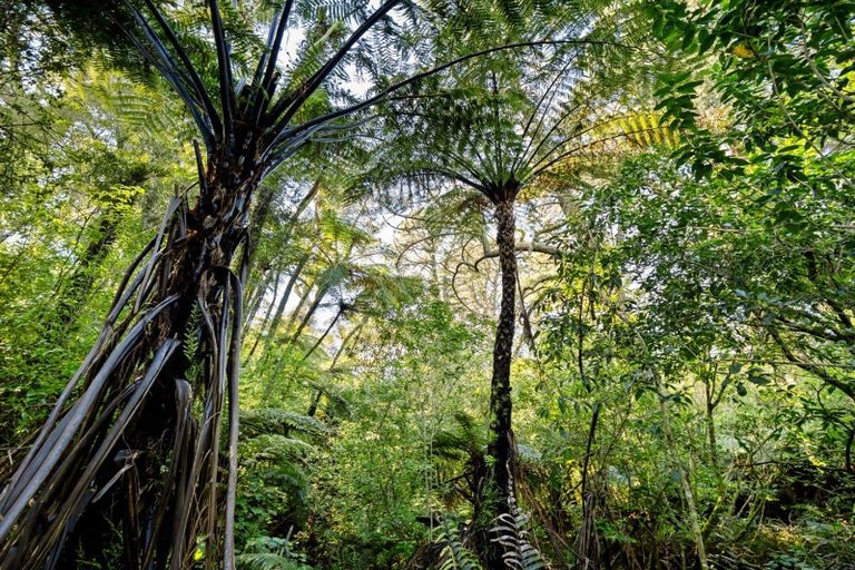 Photo of property in 193c Lindemann Road, Tahawai, 3170