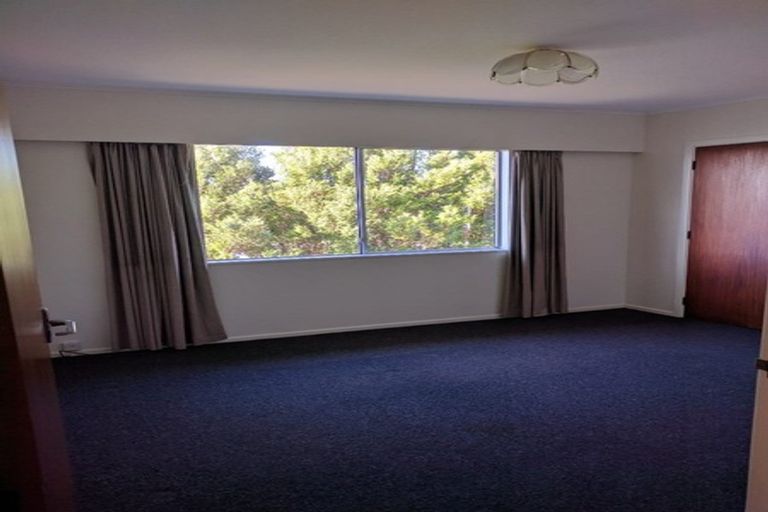Photo of property in 37 Carluke Street, Paparangi, Wellington, 6037