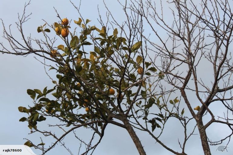 Photo of property in 1/49 Sungrove Rise, Sunnyvale, Auckland, 0612