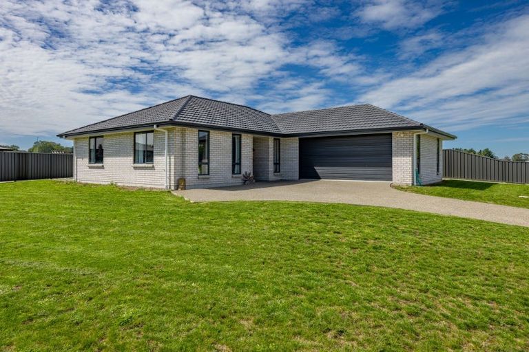 Photo of property in 92 Belgrove Drive, Waipukurau, 4200