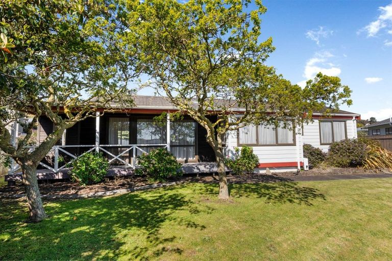 Photo of property in 56 Treadwell Street, Springvale, Whanganui, 4501