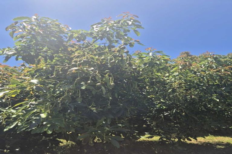 Photo of property in 12a Aongatete Road, Aongatete, Katikati, 3181