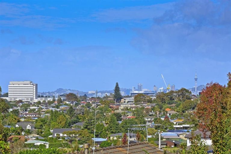 Photo of property in 46 Richards Avenue, Forrest Hill, Auckland, 0620