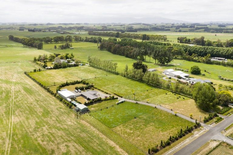 Photo of property in 271 Reid Line East, Aorangi, Feilding, 4775