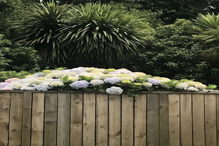 Photo of property in 317 River Road, Claudelands, Hamilton, 3214