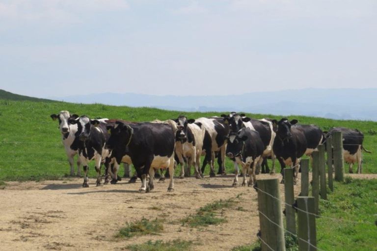 Photo of property in 23 Hinewai Road, Te Kawa, Te Awamutu, 3873