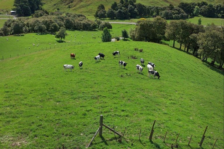 Photo of property in 455 Anaroa Road, Raukawa, Hastings, 4174