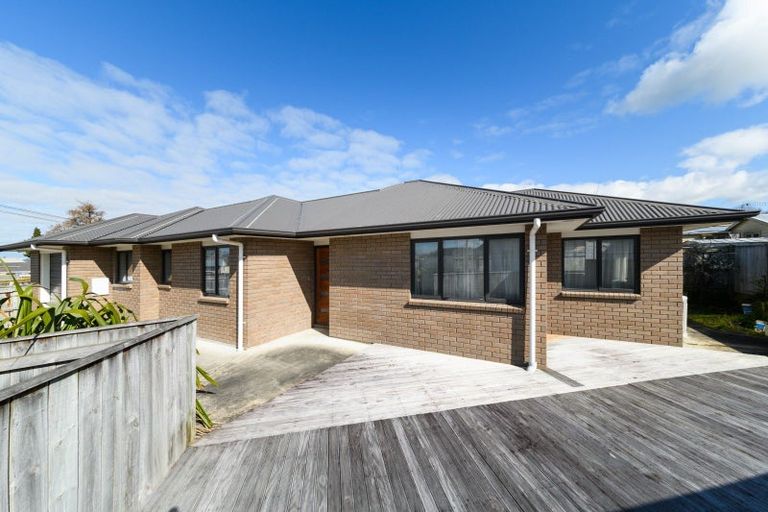 Photo of property in 20a Camden Street, Feilding, 4702