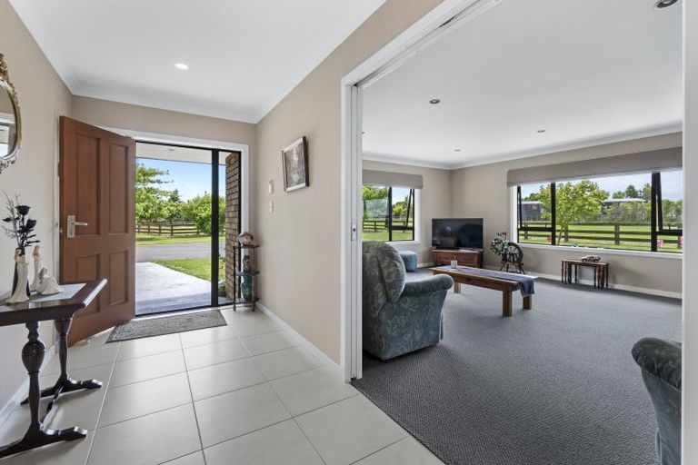 Photo of property in 580 Taonui Road, Colyton, Feilding, 4775