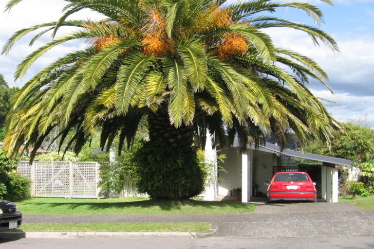 Photo of property in 29 Te Wati Street, Maungatapu, Tauranga, 3112