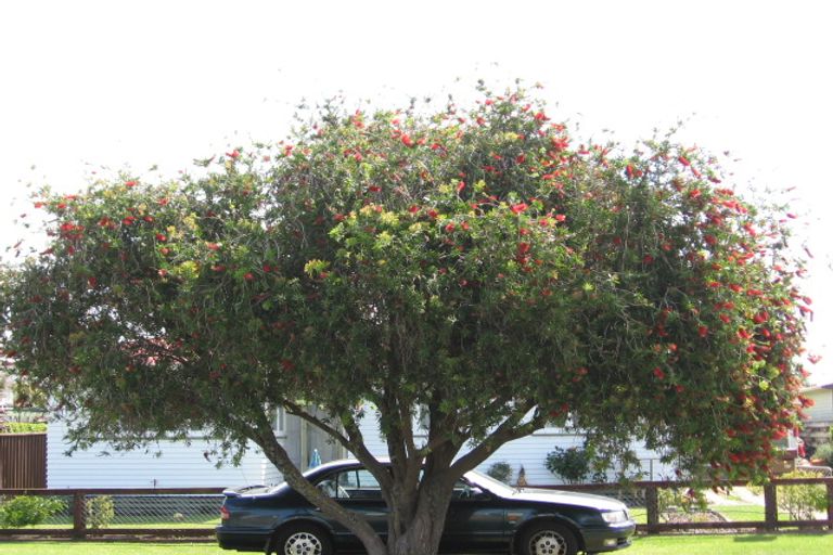 Photo of property in 27 Northcote Road, Te Hapara, Gisborne, 4010