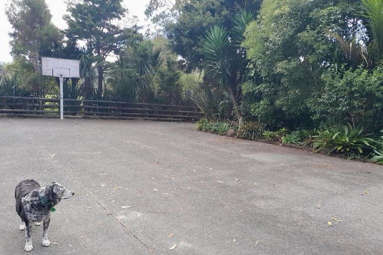 Photo of property in 189 Omaha Valley Road, Big Omaha, Warkworth, 0985