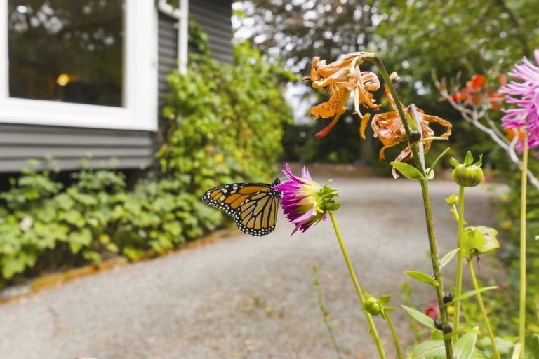 Photo of property in 3-5 Rewa Road, Raumati Beach, Paraparaumu, 5032