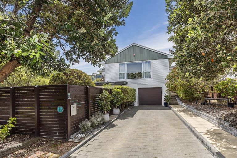 Photo of property in 12 Madison Place, Miramar, Wellington, 6022