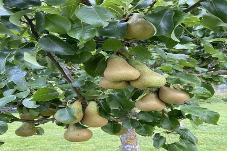 Photo of property in 59a Selwyn Street, Pohara, Takaka, 7183